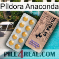 Píldora Anaconda 41